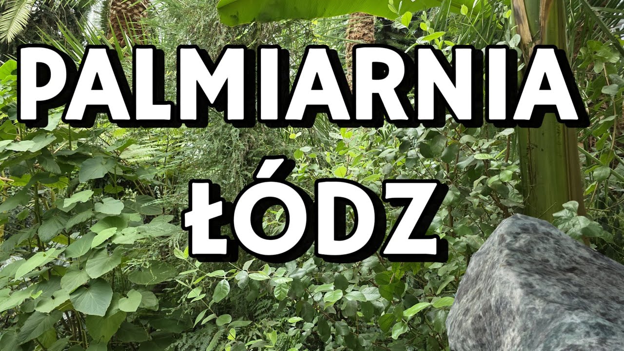 PALMIARNIA Ł&Oacute;DŹ 