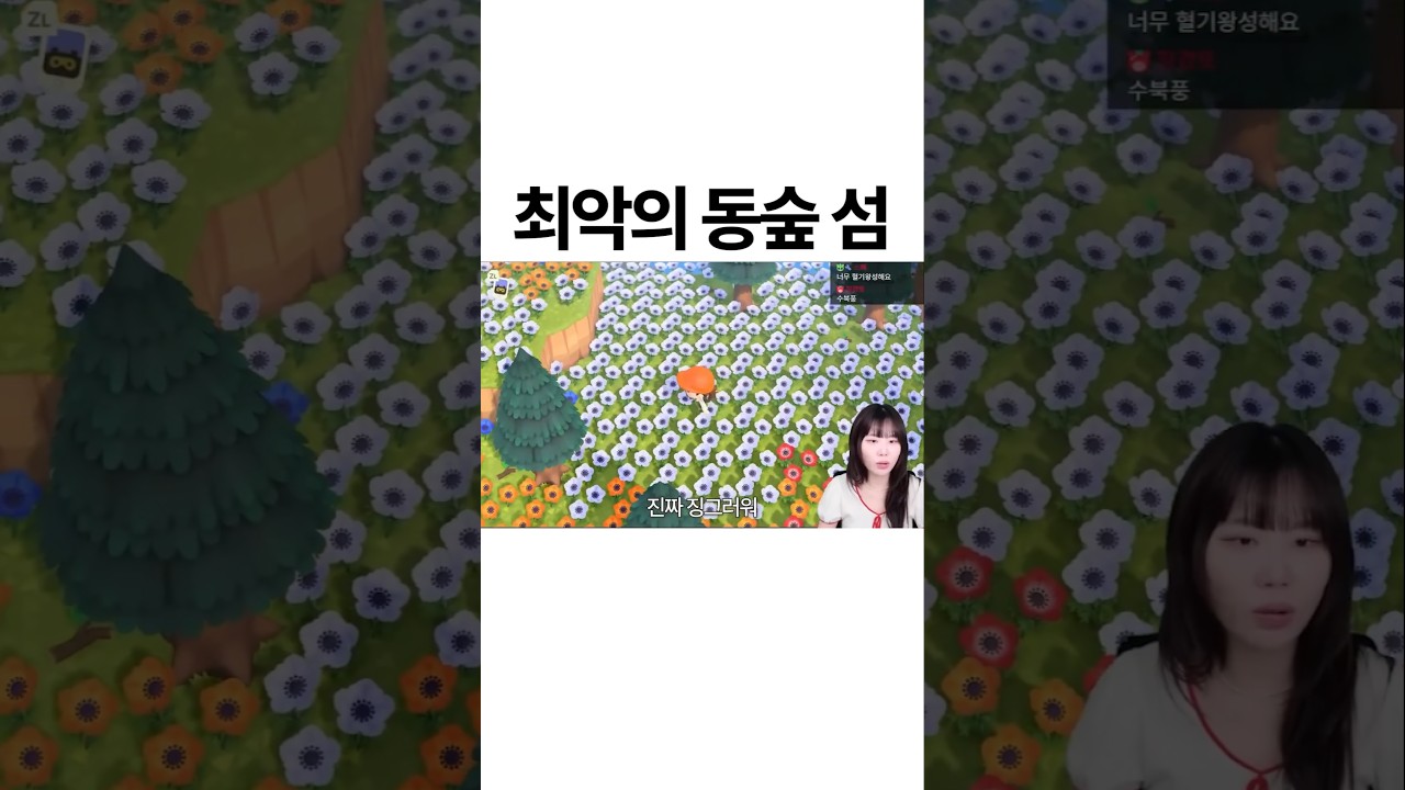 최악의 동숲 섬에 방문해봤습니다 ㅋㅋㅋㅋ