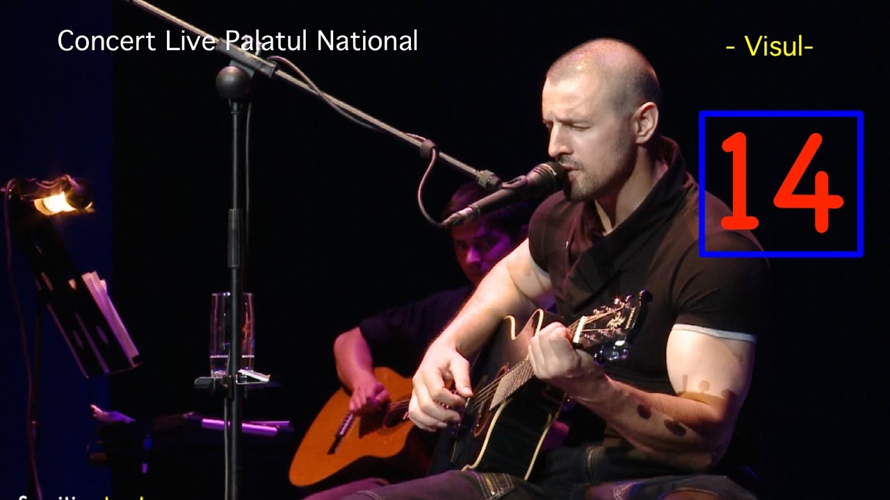 Pavel Stratan - Visul - (Palatul National - concert live)
