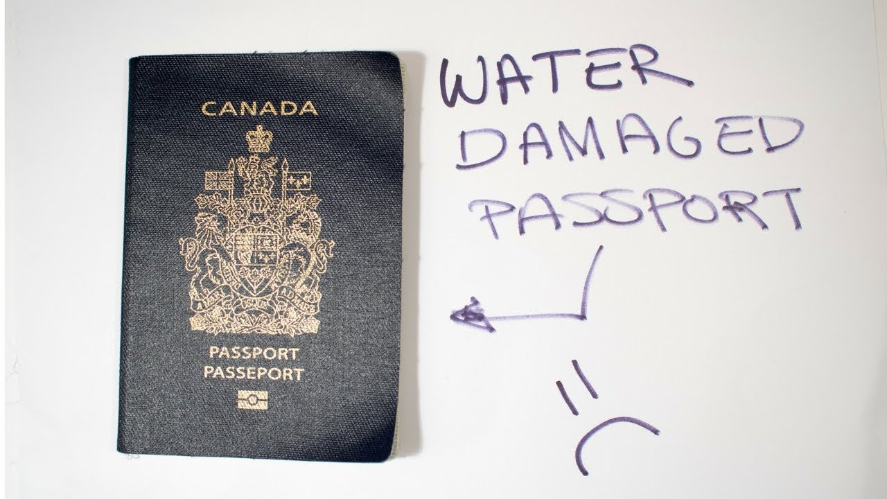 OMG. I THREW MY PASSPORT IN THE WASHING MACHINE.