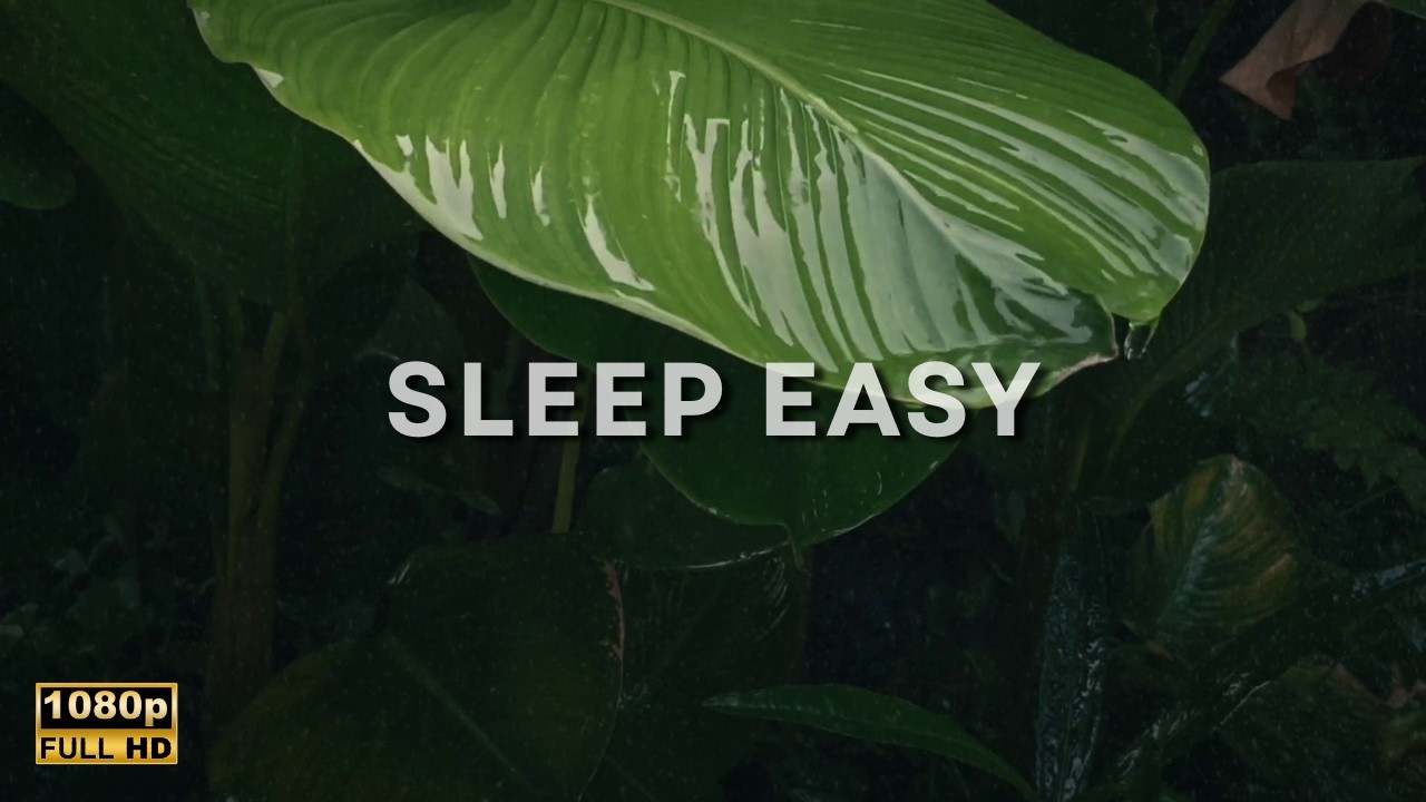 Tropical Rain on Leaves | Pure Sleep Sounds