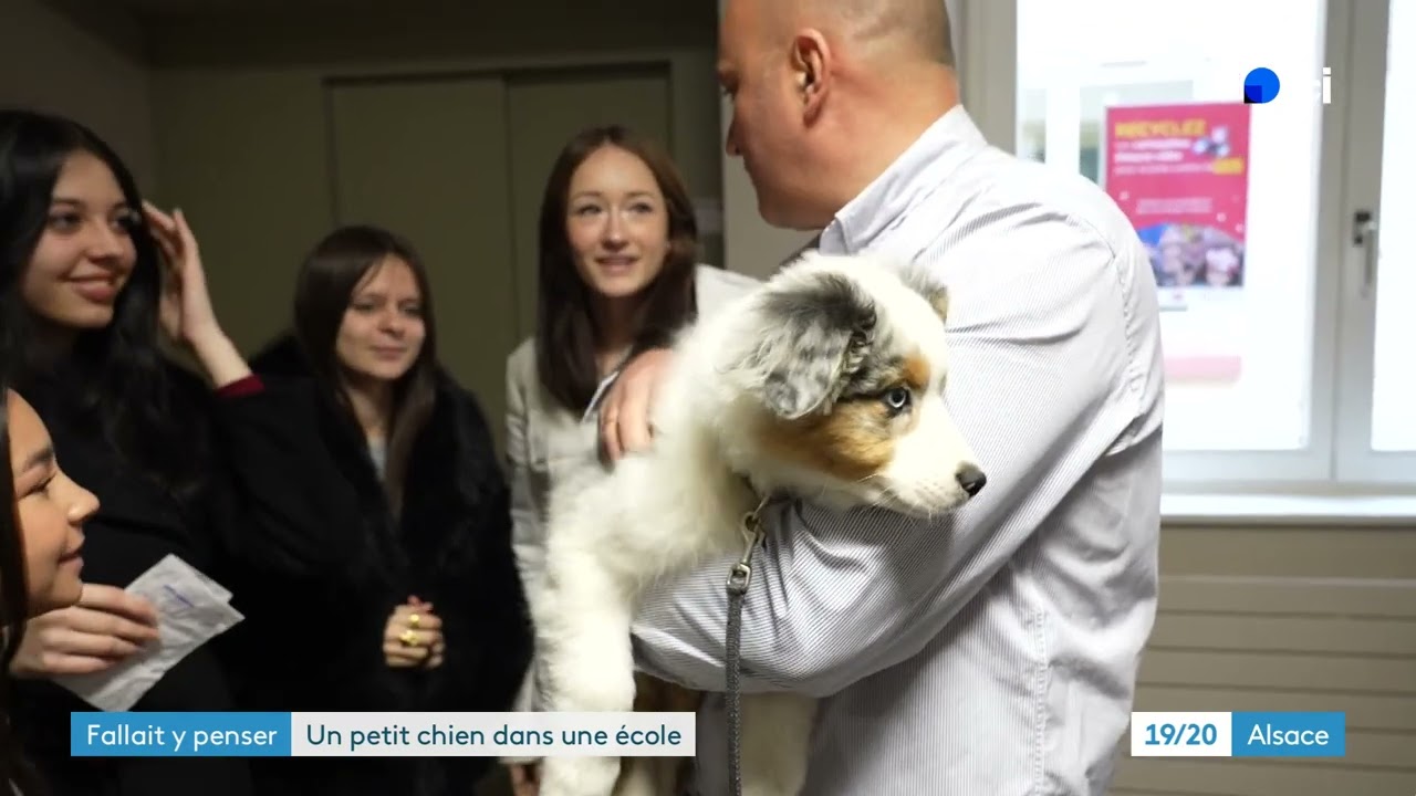 ici 14 janvier 2026 - Azur