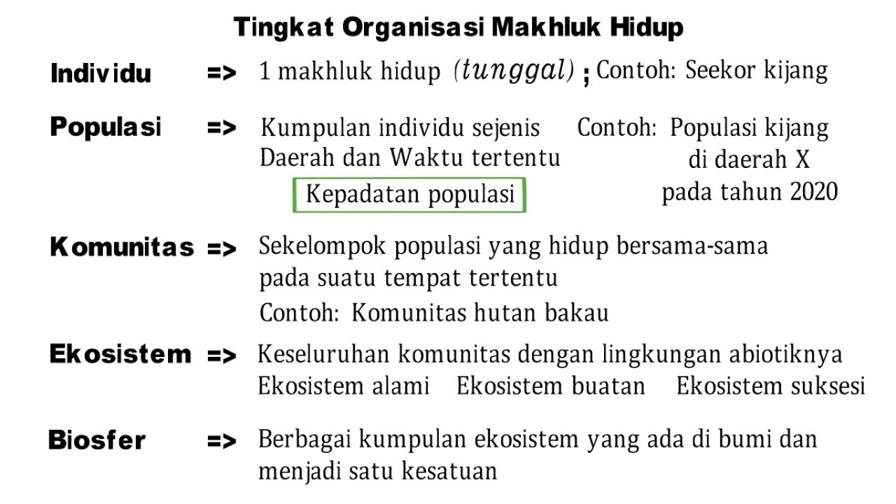 VII.13.a. Individu, Populasi, Komunitas, Ekosistem, Biosfer (Teori)