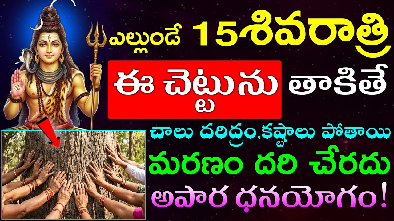ఎల్లుండే 15శివరాత్రి ఈ చెట్టుని తాకితే చాలు దరిద్రం,కష్టాలు పోతాయి  మరణం దరి చేరదు అపార ధనయోగం!