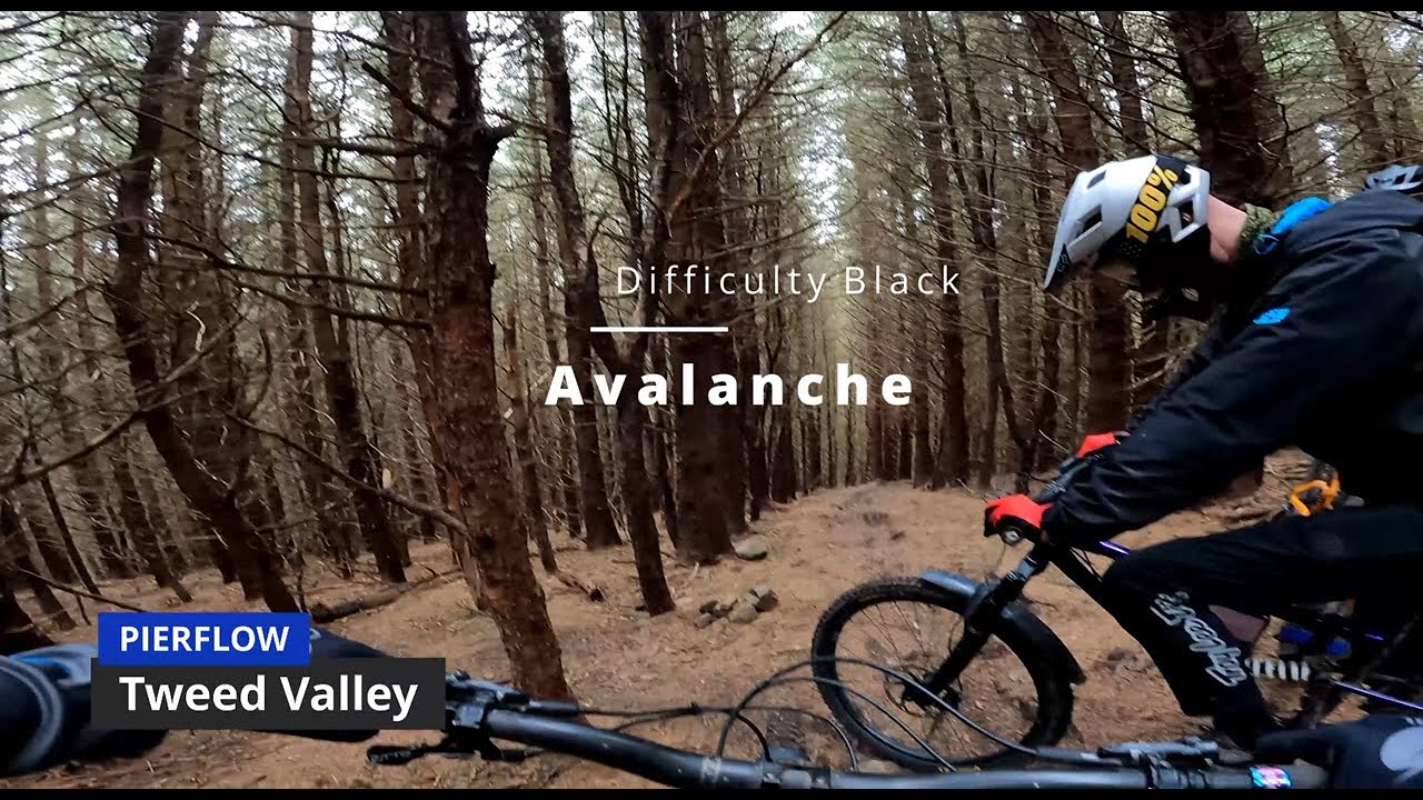Avalanche | LOOSEST TRAIL IN THE GOLFIE