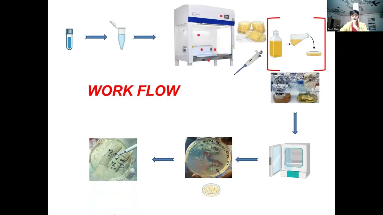 isolation of plasmid #karya #ncbs bengluru
