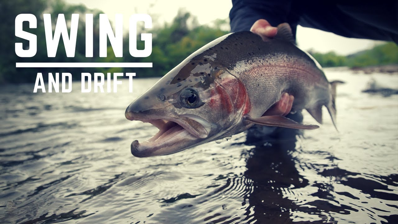Swinging and drifting flys for New Zealand Steelhead.