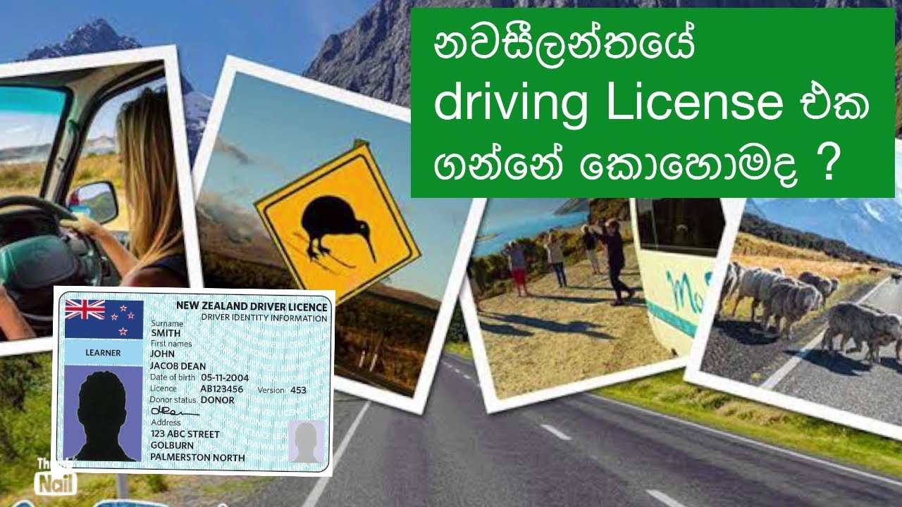 නවසීලන්තයේ driving license එක ගන්නෙ කොහොමද? How to get NZ licence/ convert Sri Lankan licence to NZ