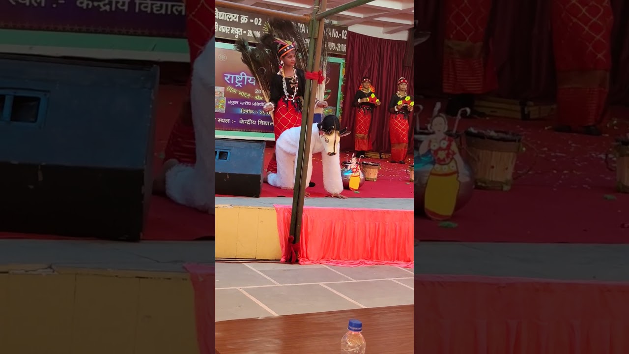 Arunachal tribal dance 🩰#folkdance #dance #shortvideo #shorts #reels #tribal