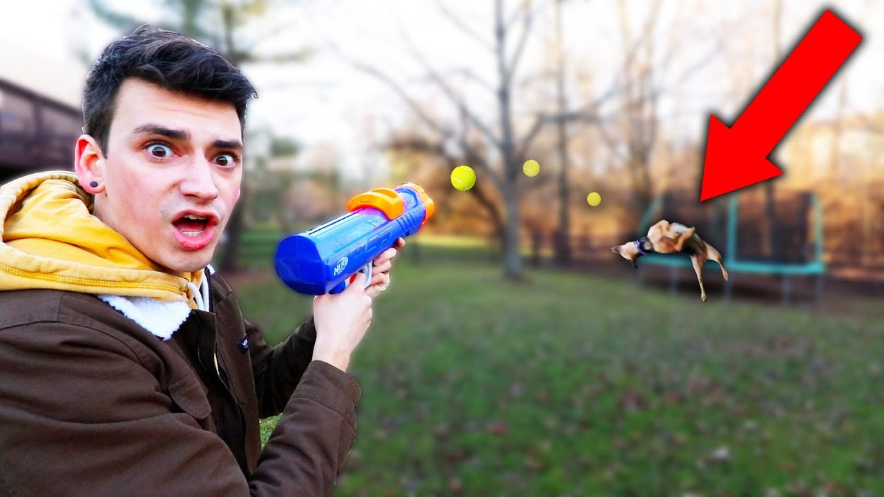 I Bought a Nerf Fetch Launcher For My Dog