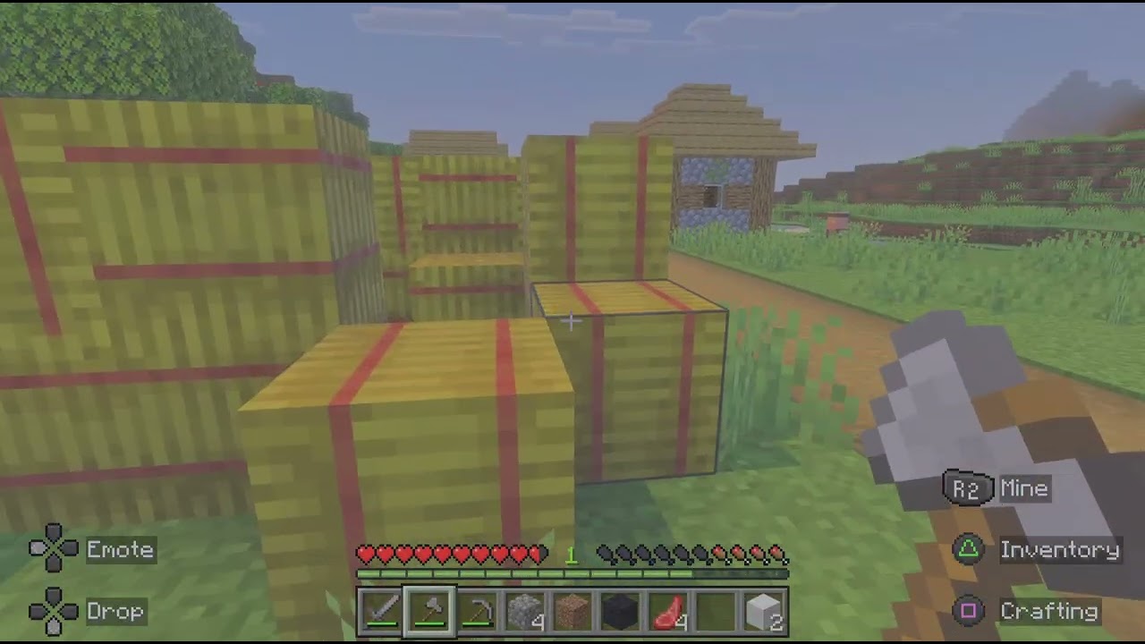 Primul meu video 😀