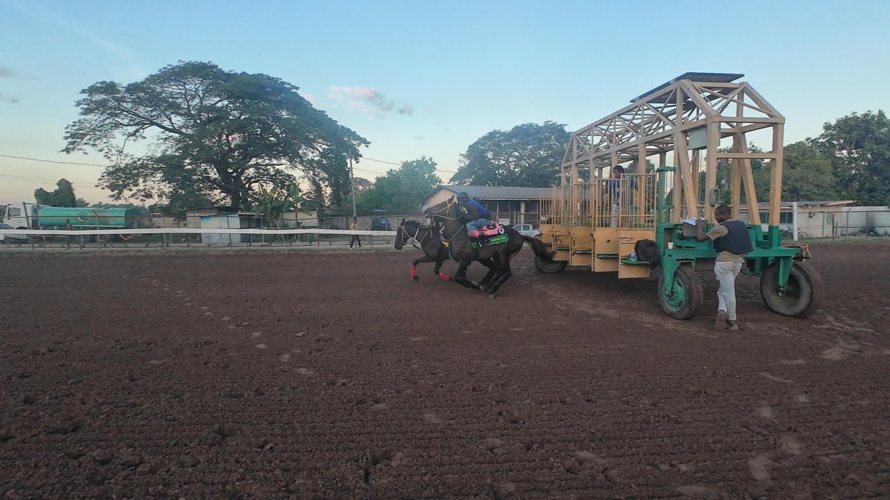 CAYMANAS PARK HAPPY FORCE DIED ON THE TRACK JAN 28 2026 WORK OUT MORNING ROAD TO 5K SUB