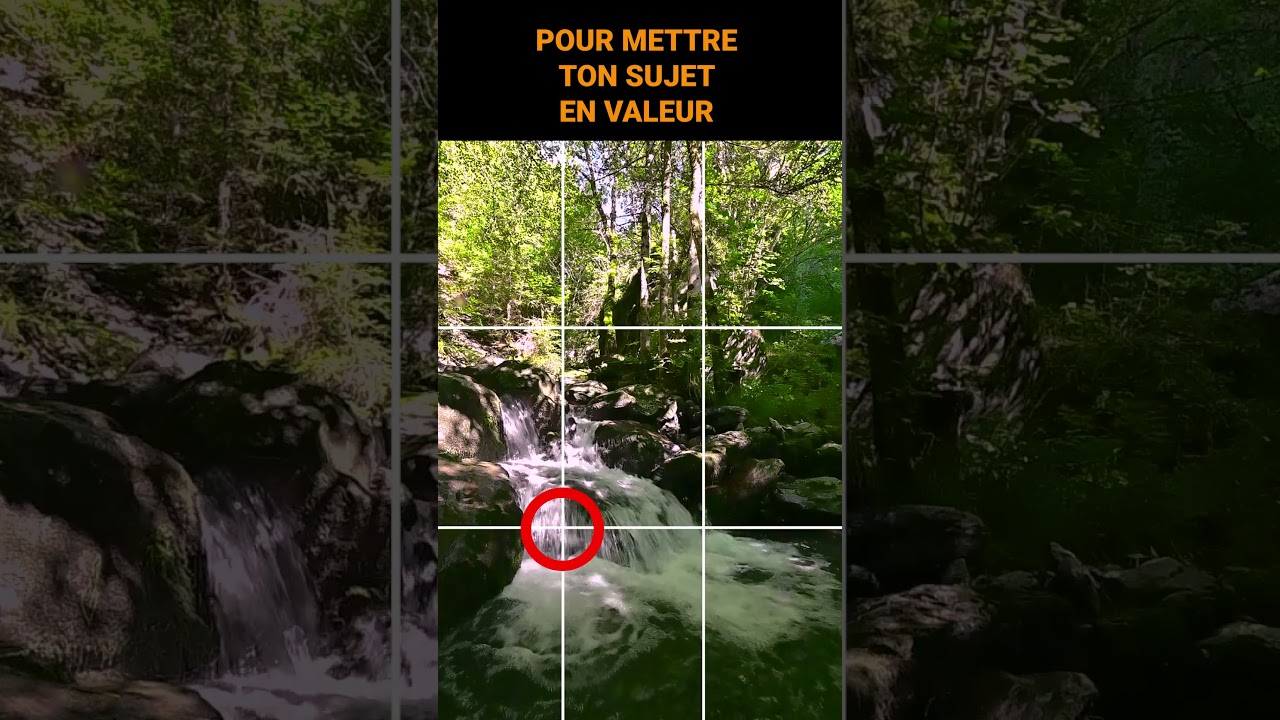 La photo c'est pas 