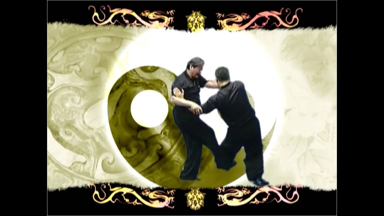 Traditional Wu Style Tai Chi Chuan - Essential fundamentals, basic push hands & demonstrations