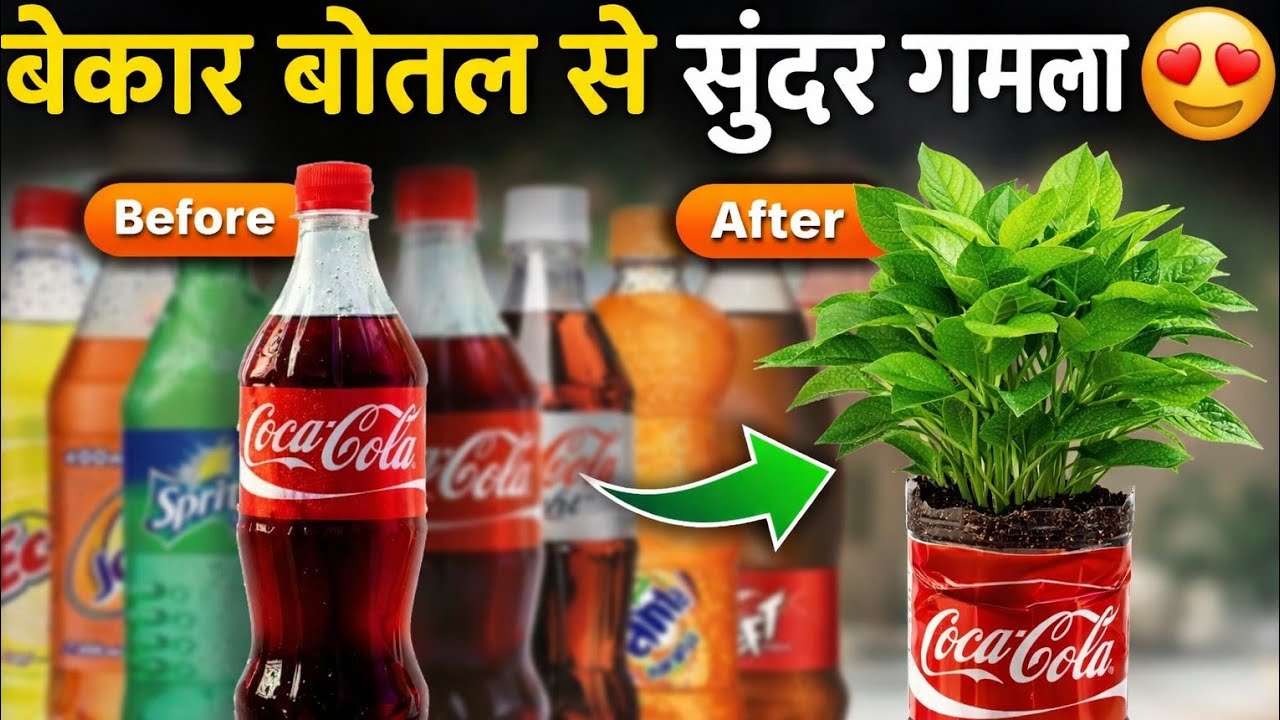 3 Plantar DIY ideas for west material plastic bottle plantar ideas #kabadsejugad #plantarwarts 