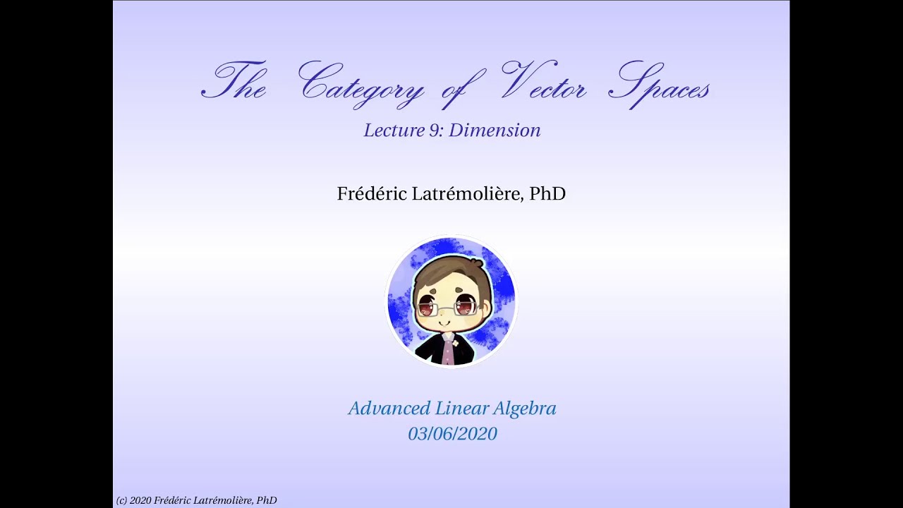 The Category of Vector Spaces: Dimension
