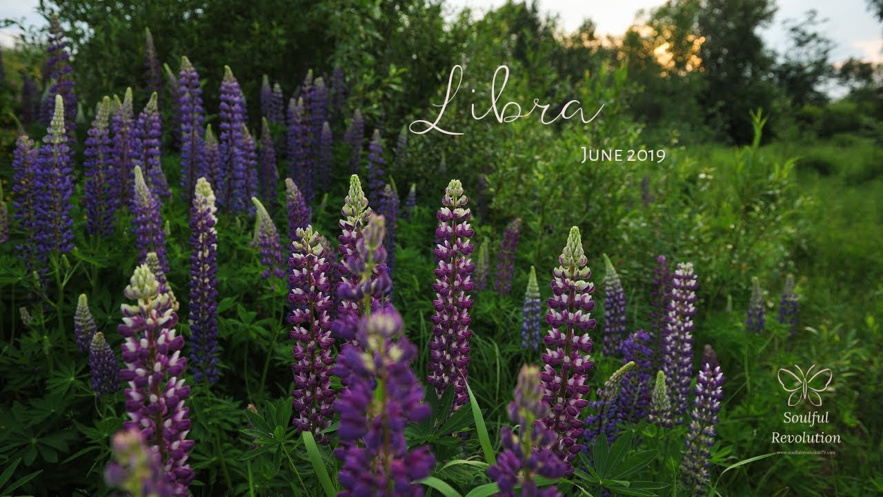 You move on...they come closer, LIBRA June 2019