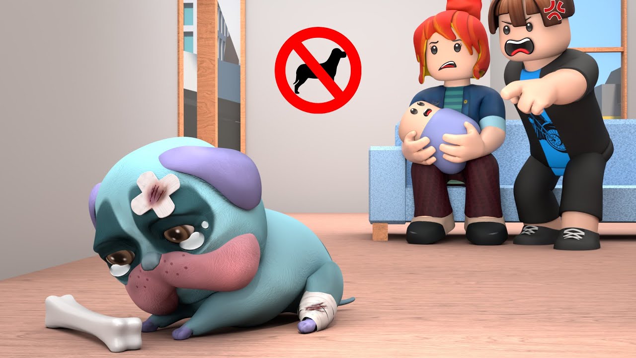 PJ PUG: ABANDONED AT BIRTH... (Cartoon Animation) - ROBLOX Brookhaven 🏡RP | ROBLOX MASTER