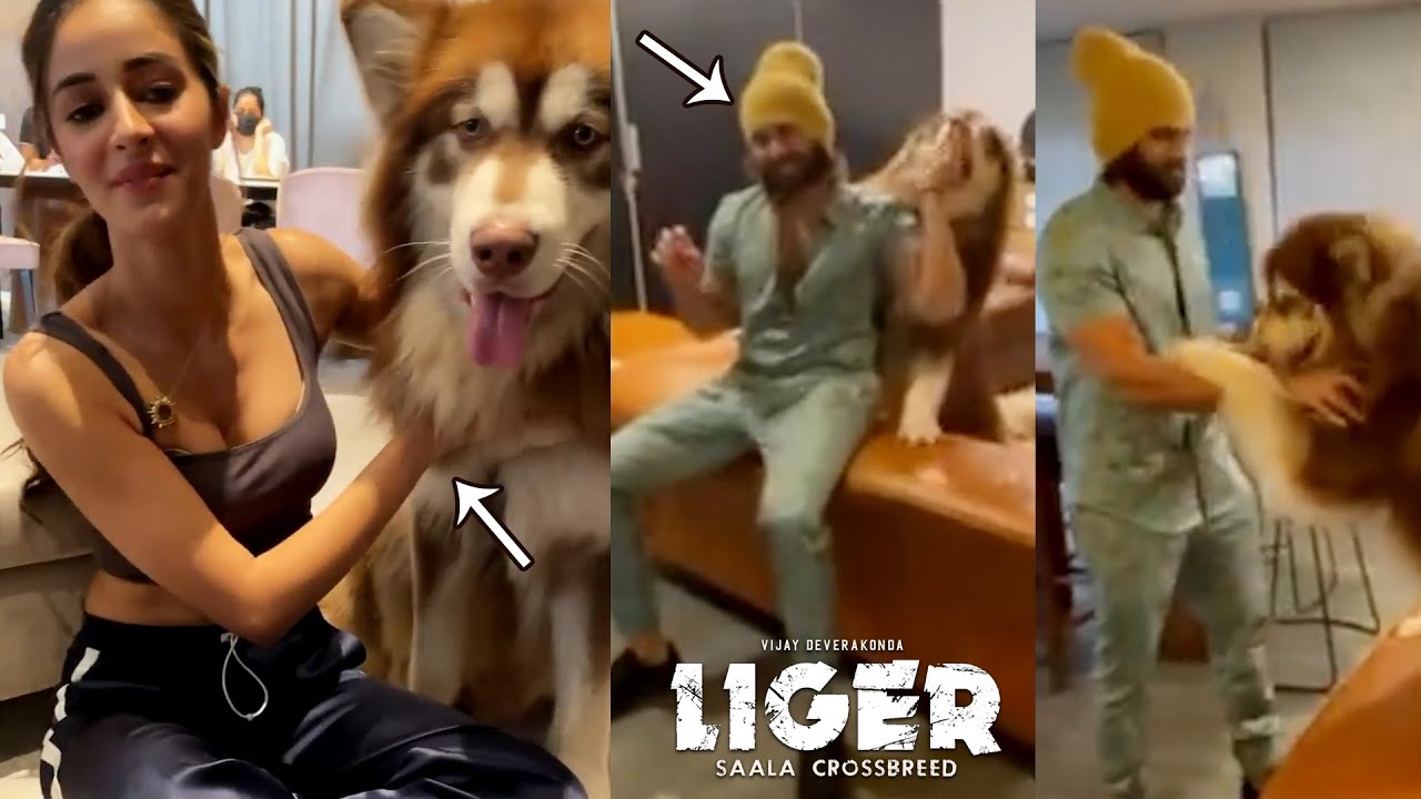 LIGER Vijay Deverakonda & Ananya Panday Playing With Charmi Kaur's Dog | Puri Jagannadh | #LIGER