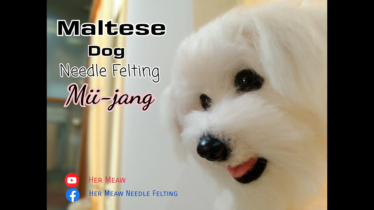 Needle Felted Maltese puppy - Mii Jang  DIY ตุ๊กตาใยขนแกะ