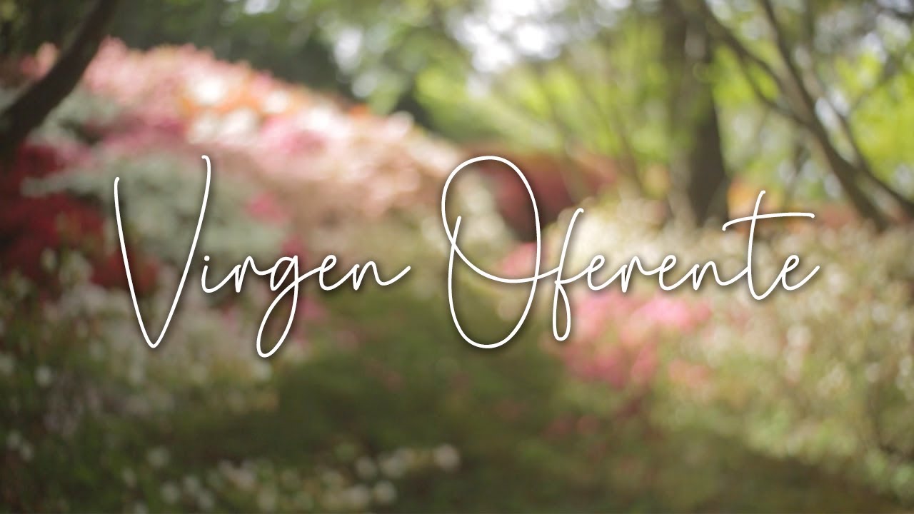 Virgen Oferente (Madre de Cristo Sacerdote) - Ana Gaby (Cover)