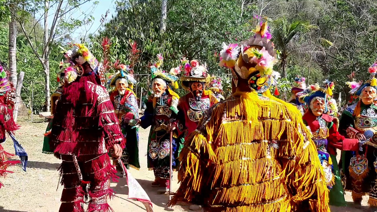 El último video del bailé del venado 2019