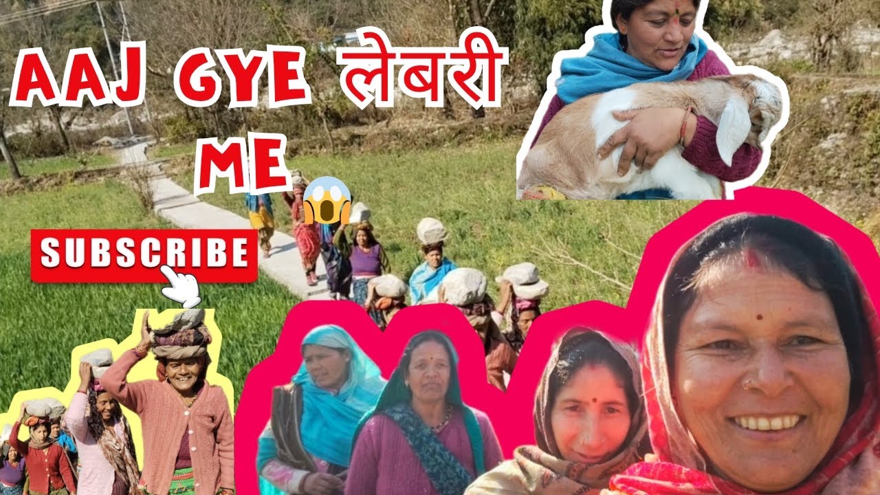 आज गए लेबरी में पत्थर सारने 😱😆✨#phadilifestyle #vlog #pahad #nature 