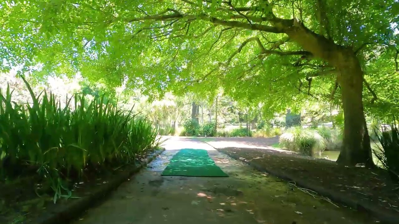 Walk with me - Auckland Domain Gardens and Duck Pond - 2025-12-06