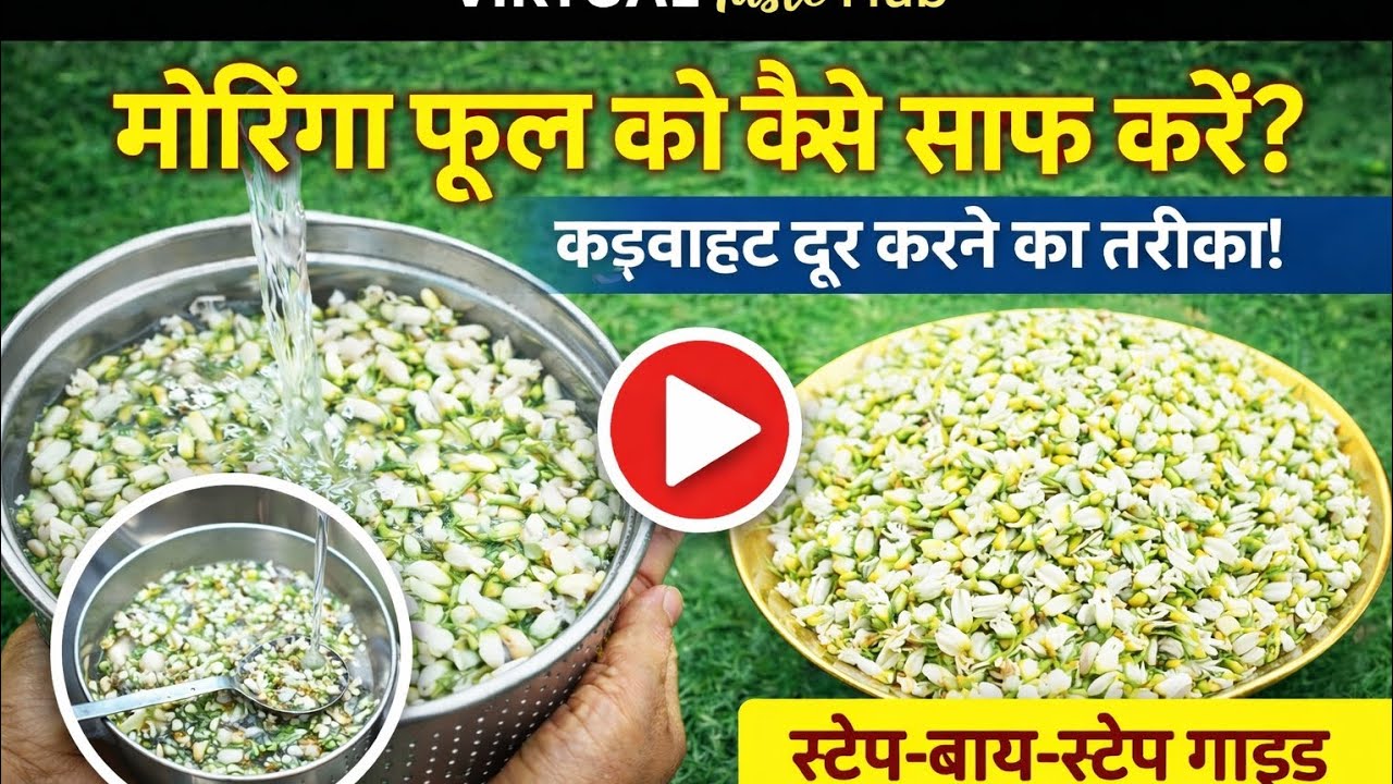 सहजन के फूल कैसे साफ करें? | कड़वाहट दूर करने का आसान तरीका | Step-by-Step Guide #teamvth 