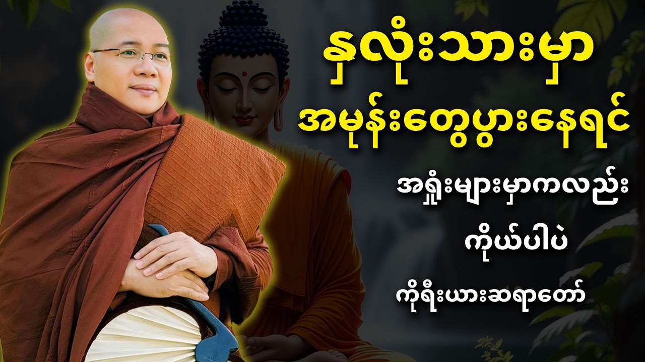 အမုန်းတွေပွားနေရင်... အရှုံးများမှာကလည်းကိုယ်ပါပဲ...