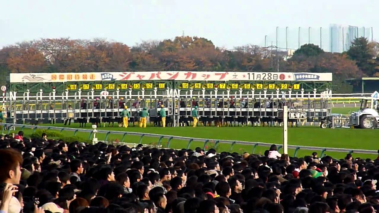 【ＨＤ】悲劇再びブエナ降着。優勝はローズキングダム（2010JAPAN CUP）