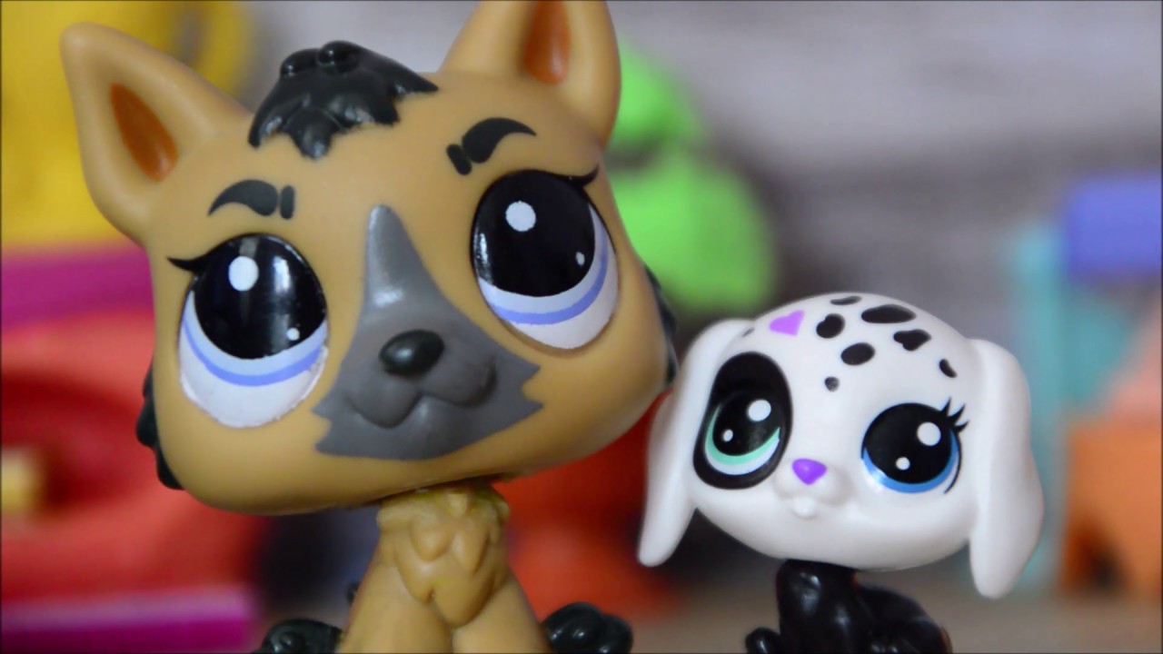 Littlest Pet Shop: Povídání o příběhu 