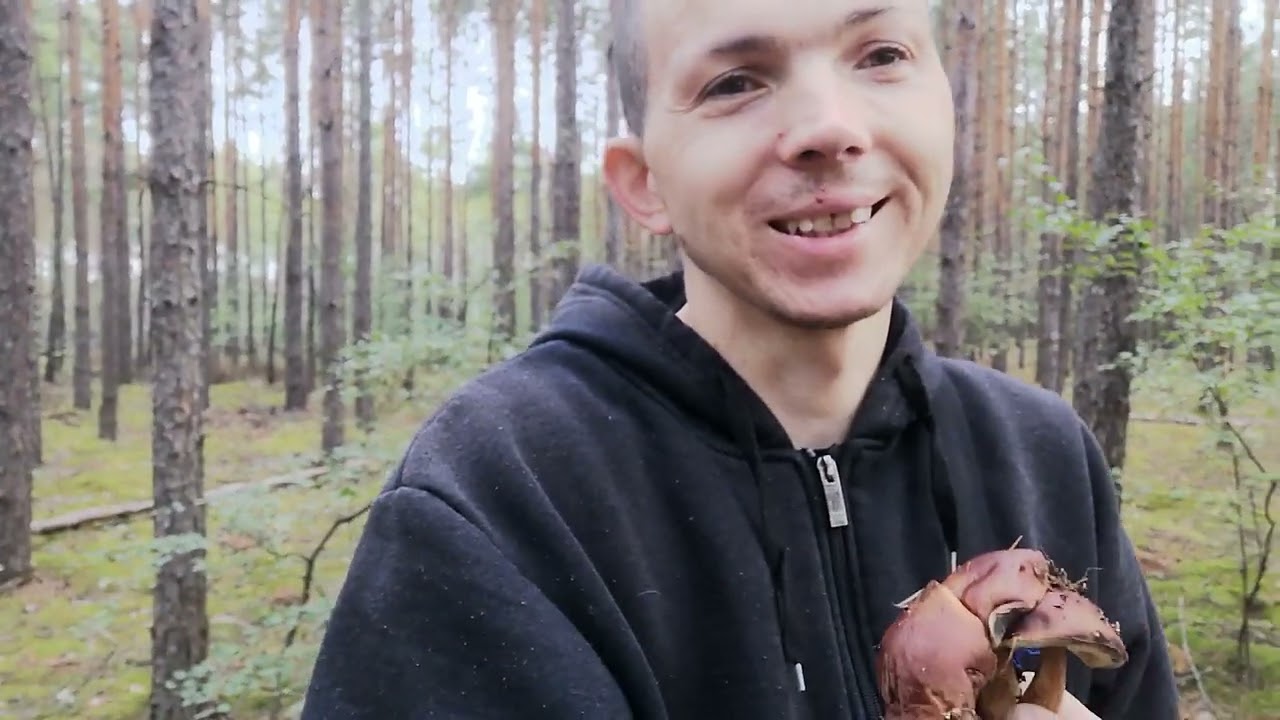 film pod tytułem moje najlepsze grzyby