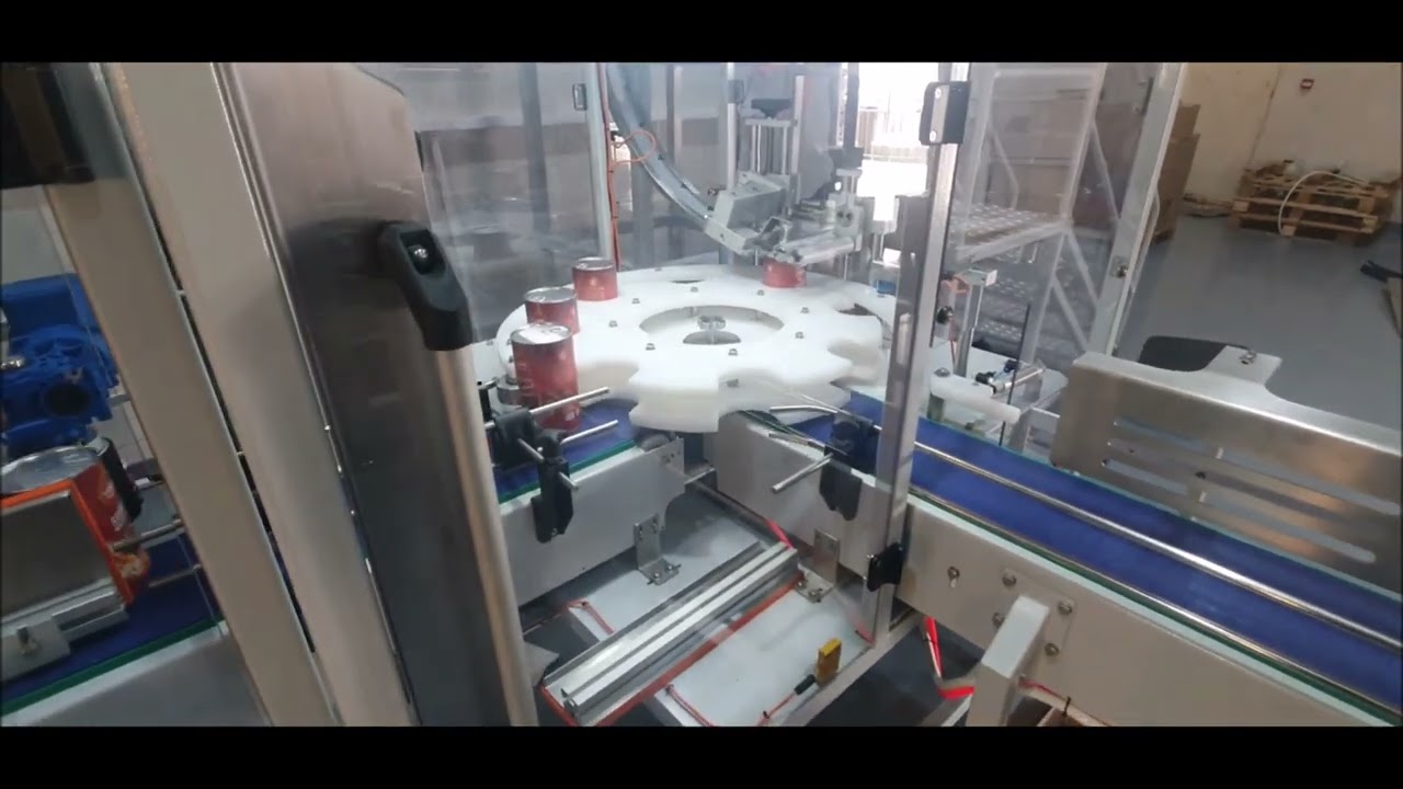 Tam Otomatik Kutu Dolum ve Kolileme Hattı. & Fully Automatic Box Filling and Cartoning Line