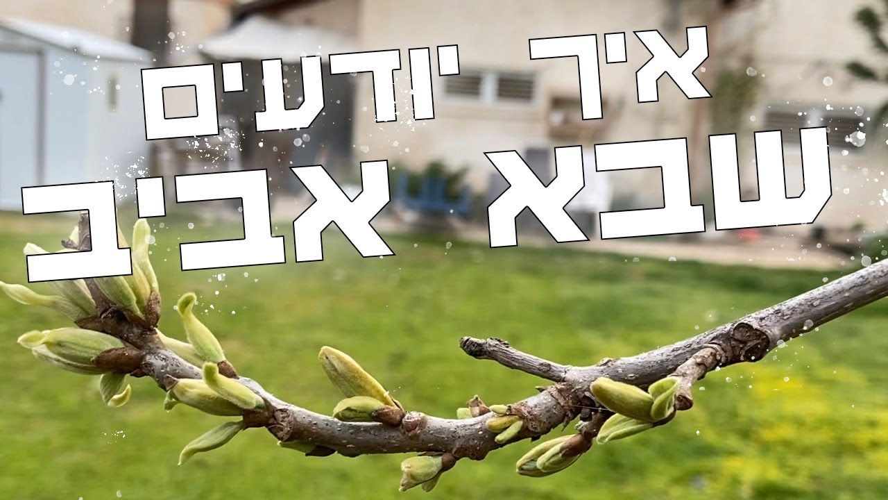 אביב הגיע פסח בא | סיור במשק וטיול עם דרוגו במושב
