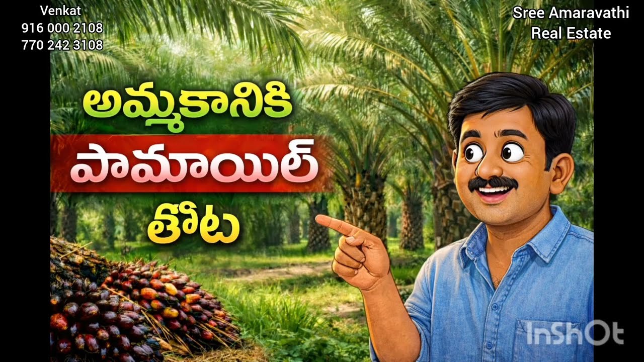 #palm oil garden for sale@nuziveedu
