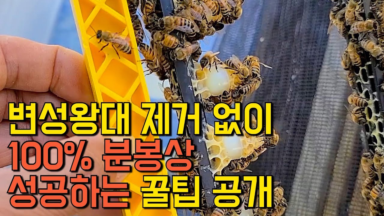 안보면 손해입니다!! 벌 늘리기에 최적인 방법 한 번 알아봅시다