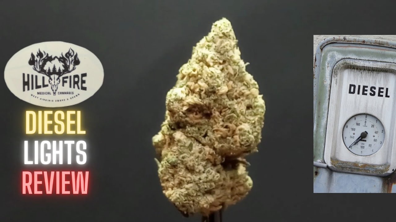 HillFire Diesel Lights Flower Review