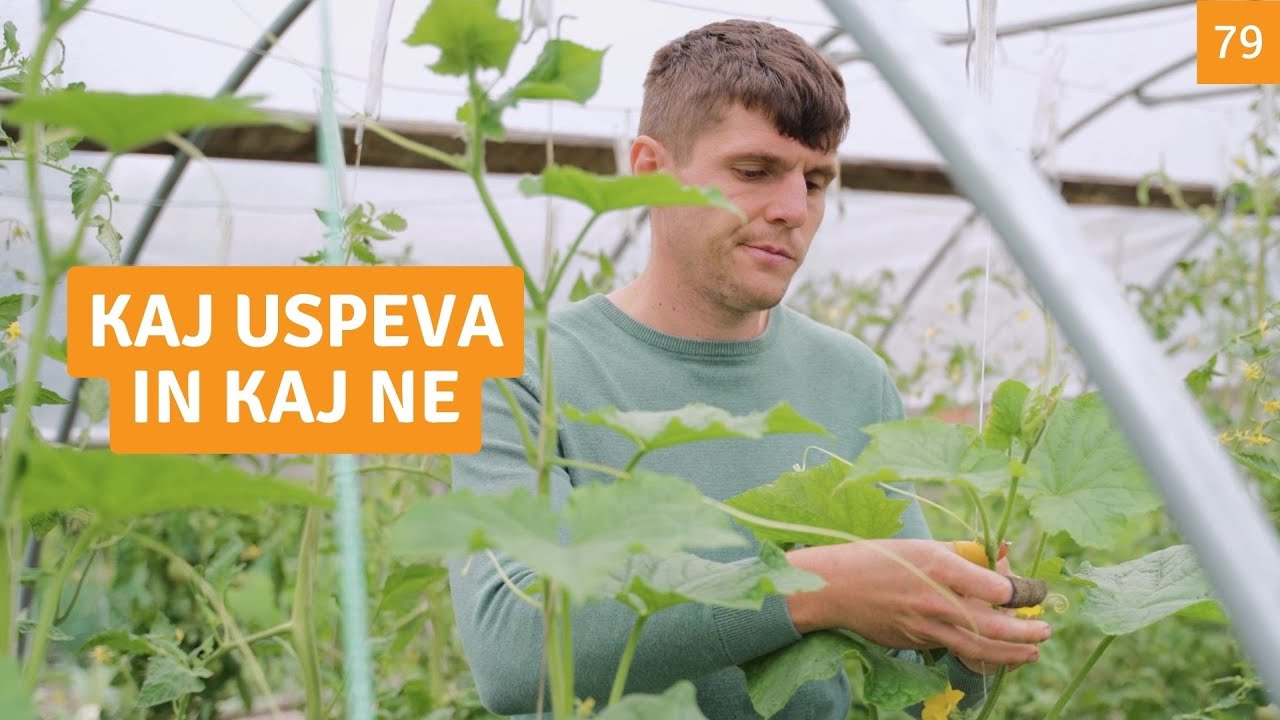 7 pohval in pritožb o letošnjem vrtu - 13. 6. 2024 Vrt Obilja EP79