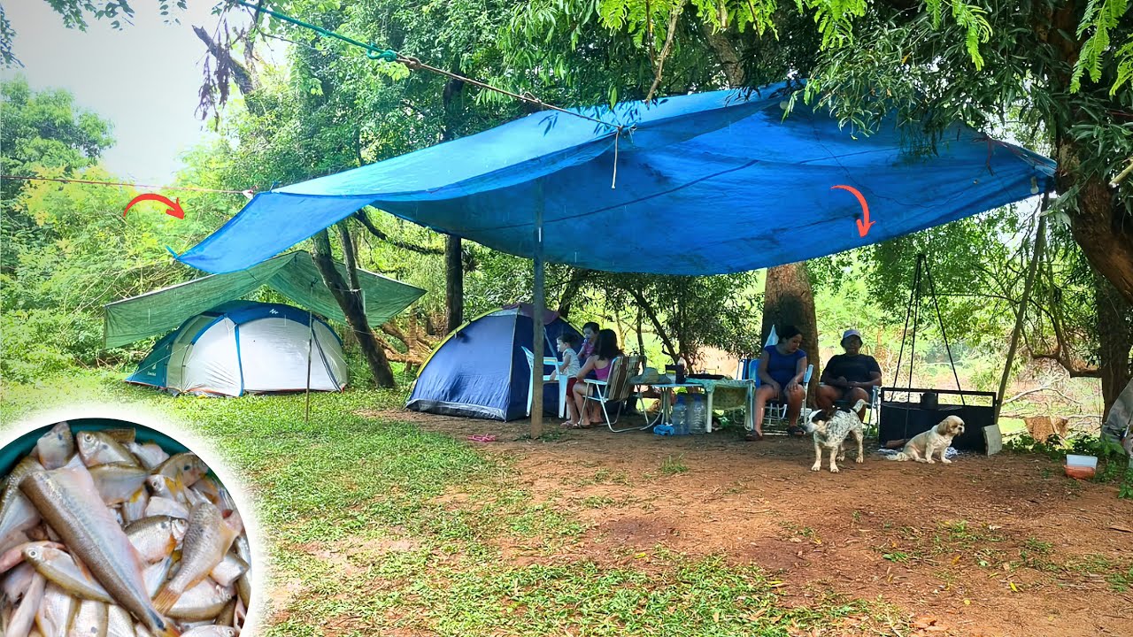 Acampar vários dias na mata!começamos com muito peixe frito peixe fresquinho!!parte1