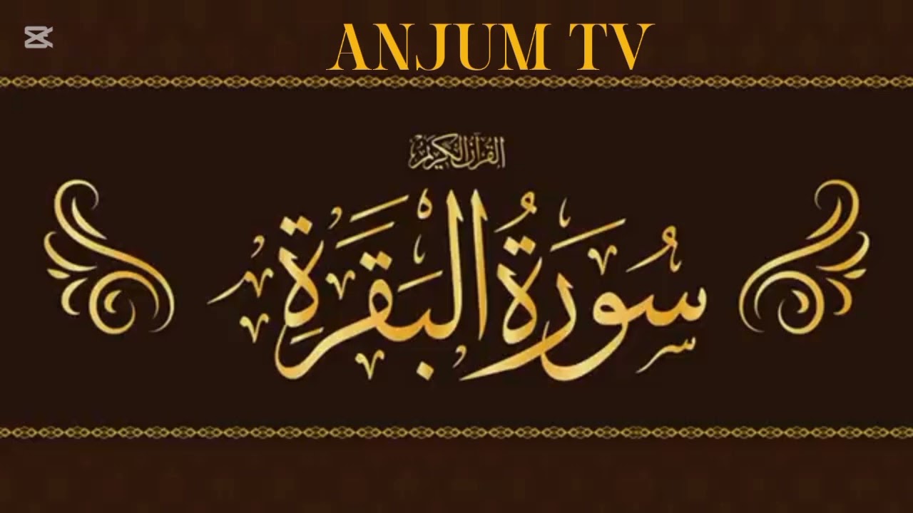 #suratbaqarah#alquran #@mehtabanjum99 #tilawat #iqra#qurankarimbestvoice
