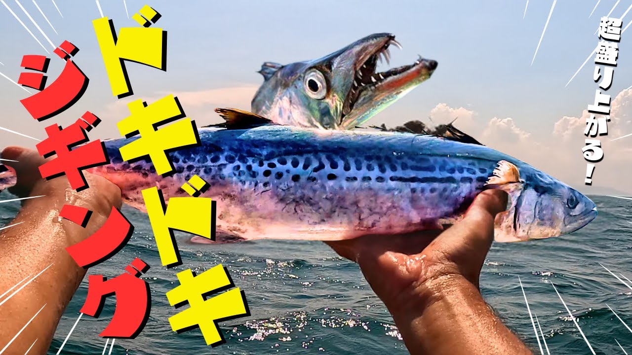 【大阪湾釣り】太刀魚テンヤ無視！？ジギングで他魚が連発
