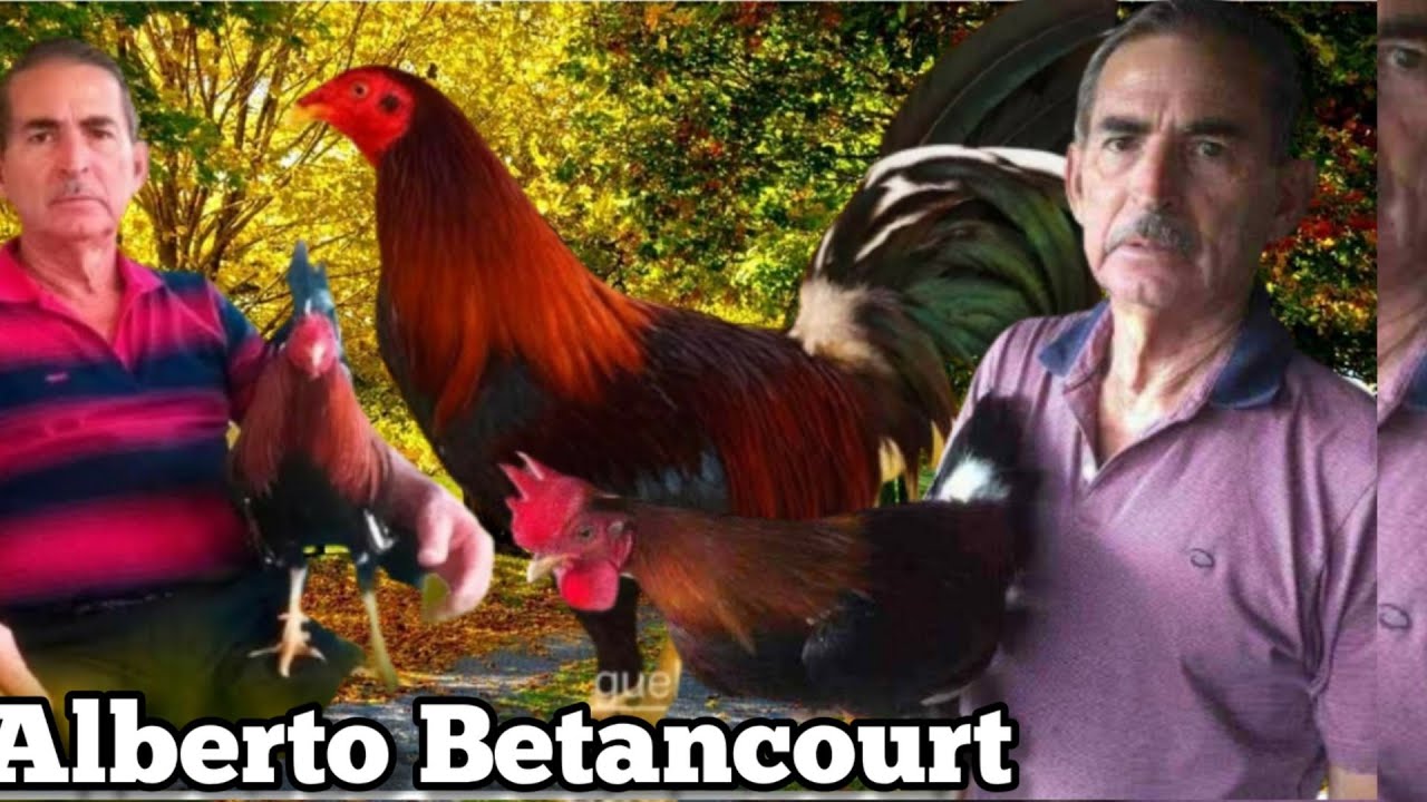 Parte de la istoria del Gallerismo  de Puerto Rico encabezada por El se&ntilde;or Alberto Betancourt