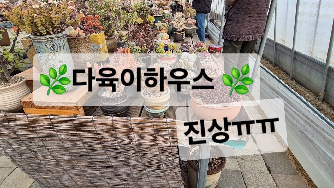 다육이 하우스의 진상 이럴때 어떻하나