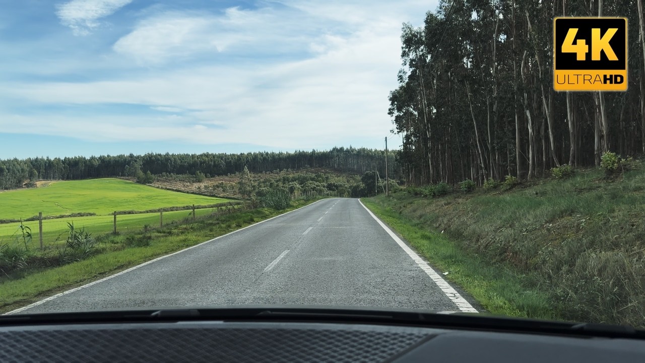 Driving Portugal [4K]: Relaxing ASMR Drive to Pina Manique Palace