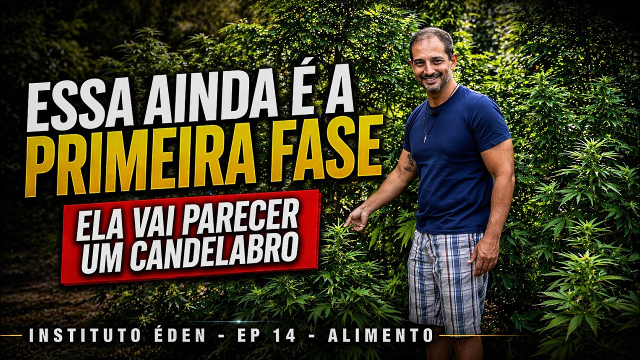 PRIMEIRA FASE - INSTITUTO &Eacute;DEN JARDIM DE CURA - EP 14