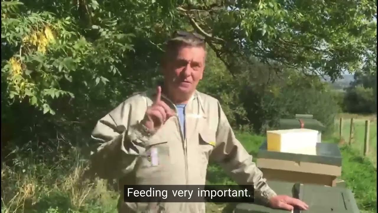Feeding bees to survive the winter