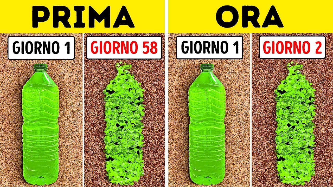 Gli Scienziati Hanno Scoperto Dei Batteri Mangia-Plastica