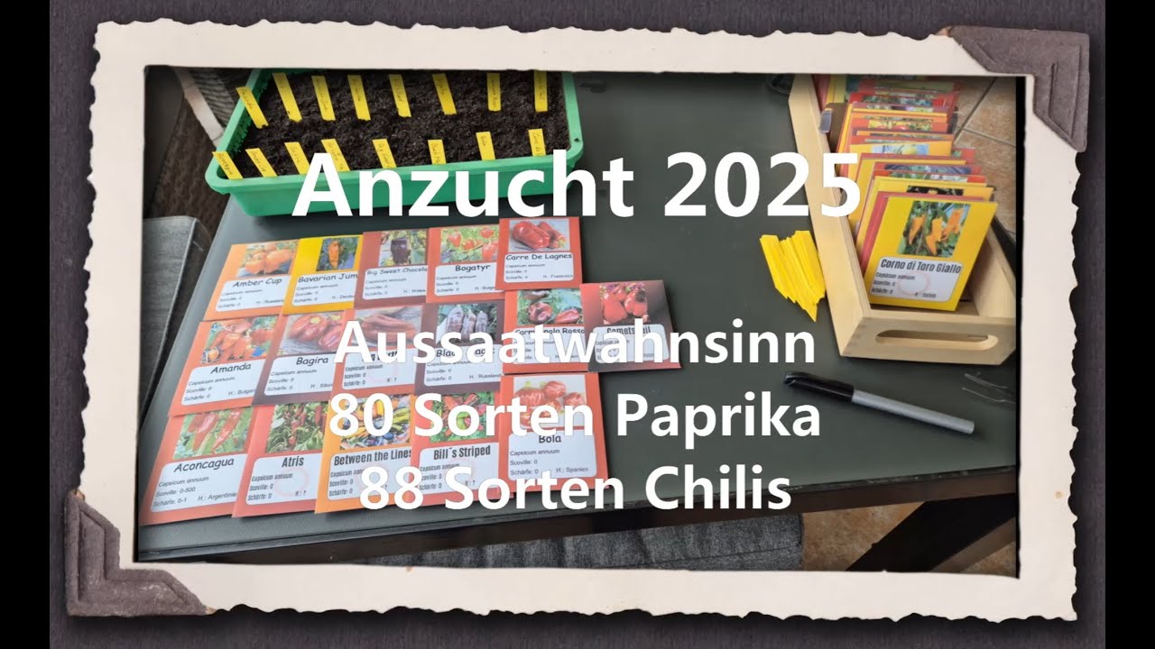 Anzucht 2025 - Aussaatwahnsinn Paprika & Chilis