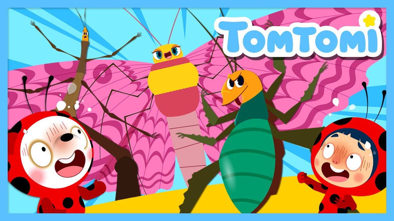 Los Gigantes Insectos 🦗 | Insectos Raros | Canciones de bichos | TOMTOMI en espa&ntilde;ol